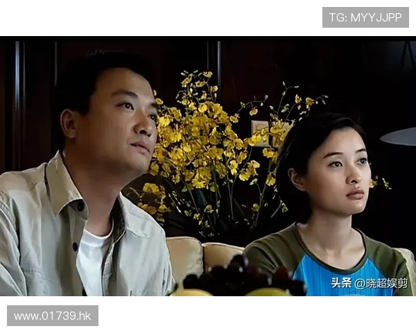 法网危情：当正义在迷雾中摇曳